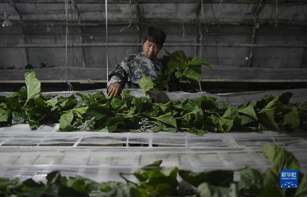捕鱼下载 电玩城